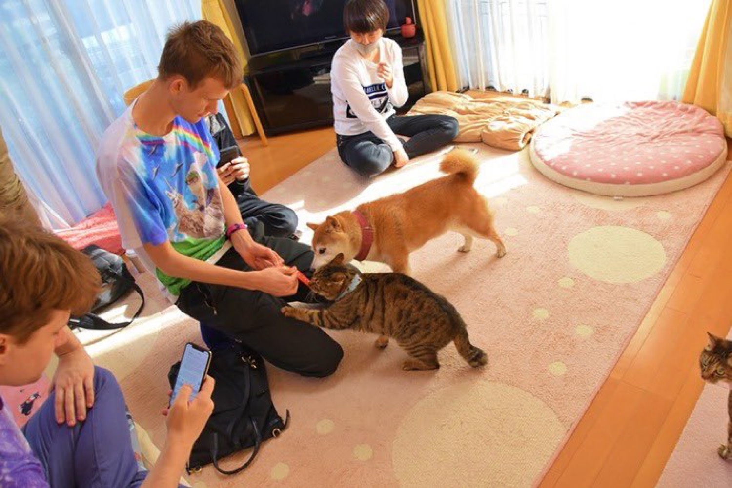 Vitalik with dog and cats