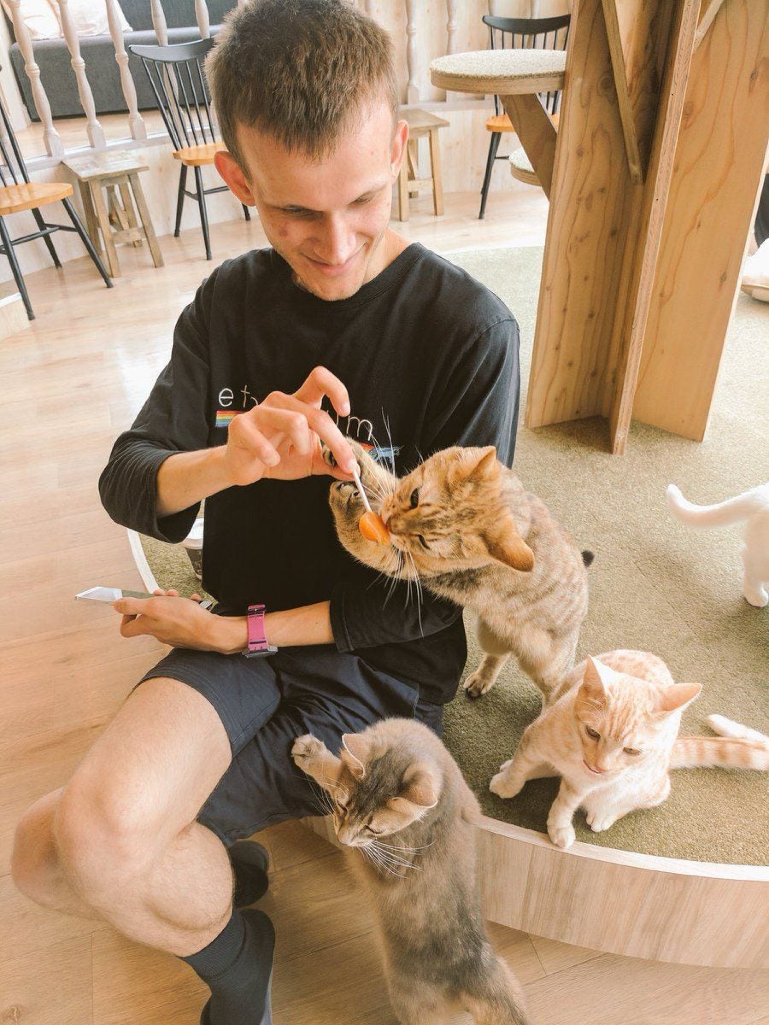 Vitalik feeding cats at cat cafe