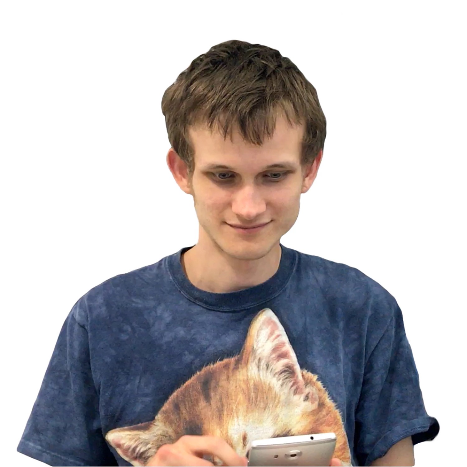 Vitalik looking at phone in cat shirt